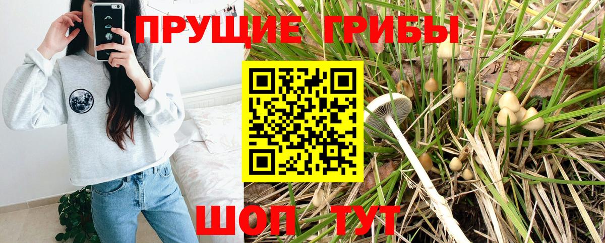 Десногорск  Галлюциногенные грибы мицелий  Вход с VPN  Галлюциногенные грибы Magic Shrooms 