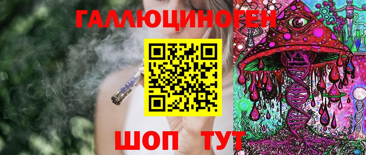 Галлюциногенные грибы Cubensis Десногорск